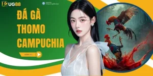 Đá Gà Thomo Campuchia UG88 - Cách Chọn Gà Bách Thắng