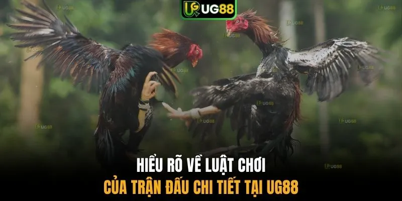 Hiểu rõ về luật chơi của trận đấu chi tiết tại UG88