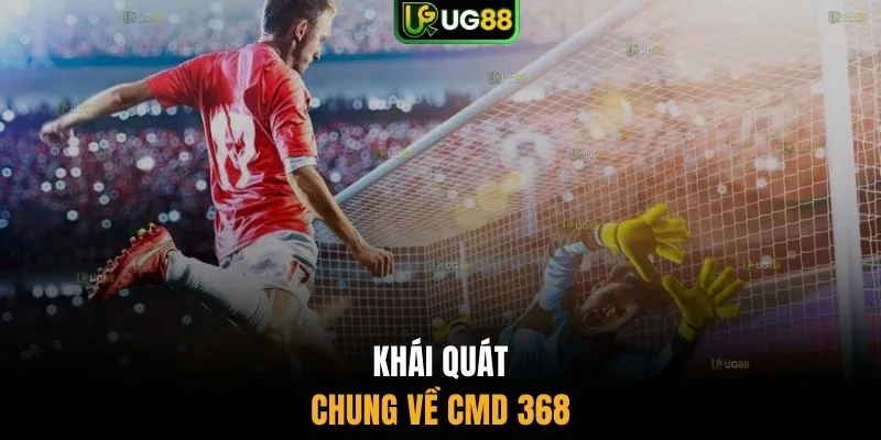 Khái quát chung về CMD 368